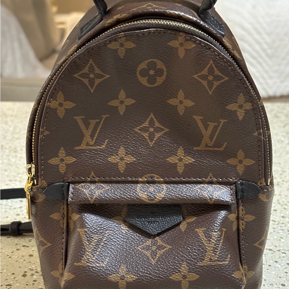 Louis Vuitton Palm Springs Mini Monogram Backpack
